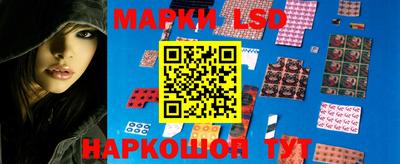 прущие грибы Кохма