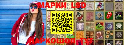 spice Котовск