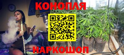spice Котовск