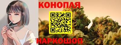 прущие грибы Кохма